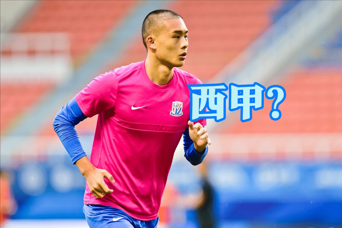 转折点！上海申花再遭质疑，德国杯冲刺阶段攻防权衡，引发热议，数据趋势出现新变化的简单介绍